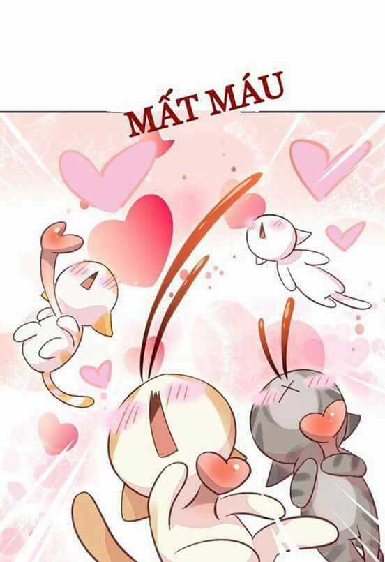 Dưới Móng Vuốt Mèo - Chapter 5 - Trang 17