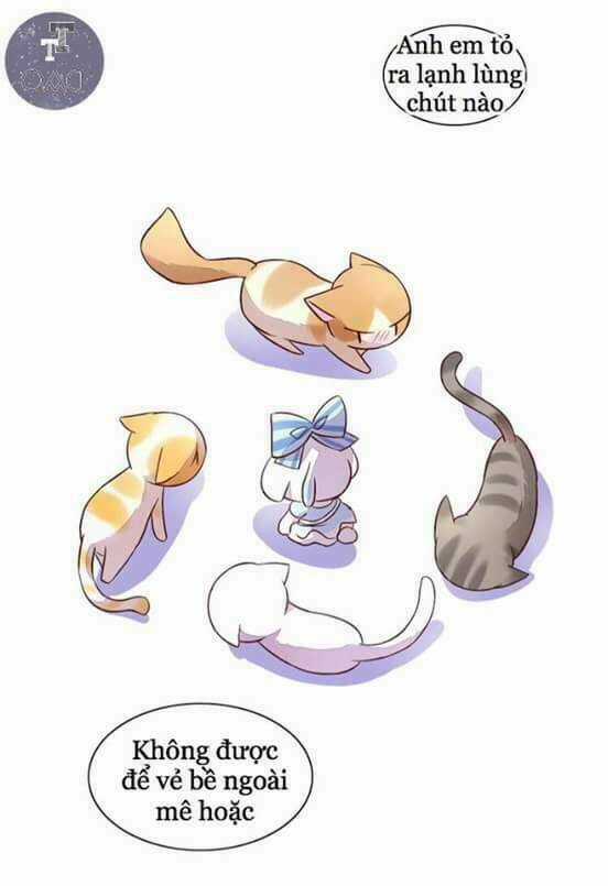 Dưới Móng Vuốt Mèo - Chapter 5 - Trang 19