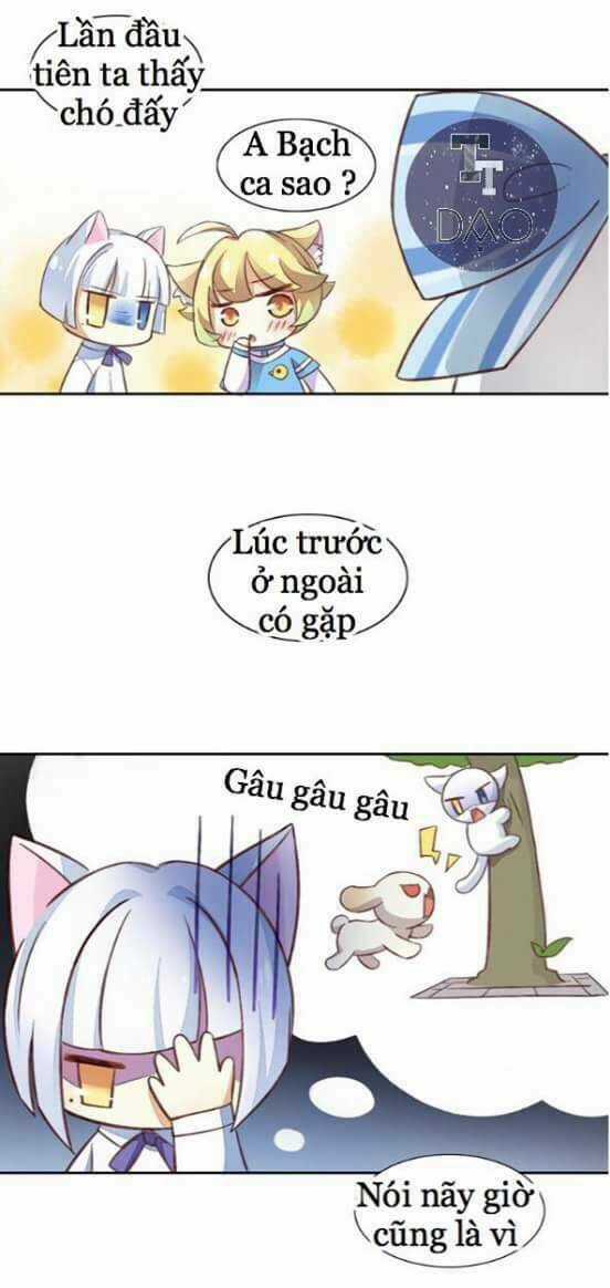 Dưới Móng Vuốt Mèo - Chapter 5 - Trang 20