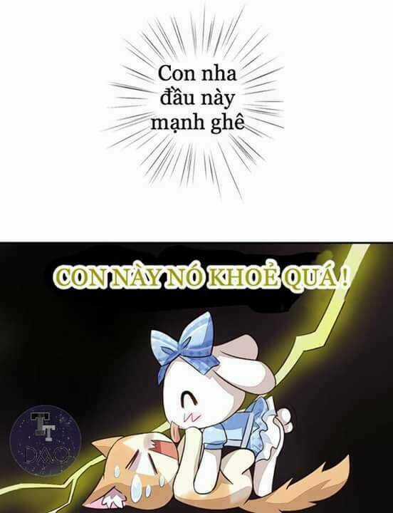 Dưới Móng Vuốt Mèo - Chapter 5 - Trang 30