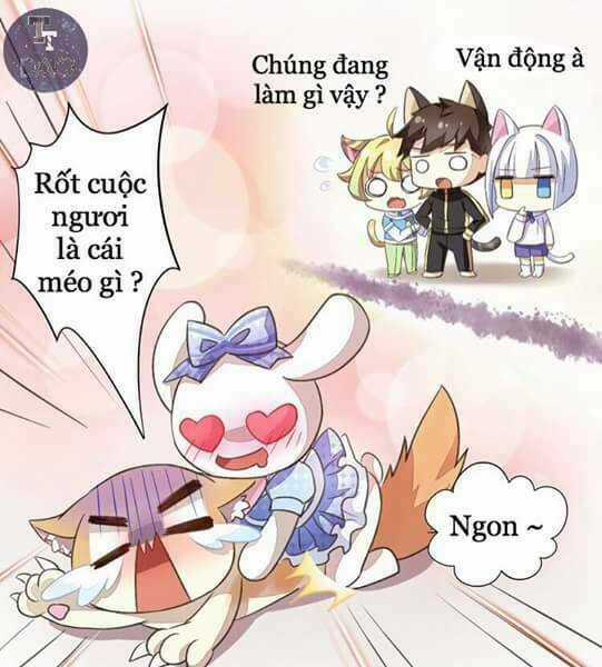 Dưới Móng Vuốt Mèo - Chapter 5 - Trang 32