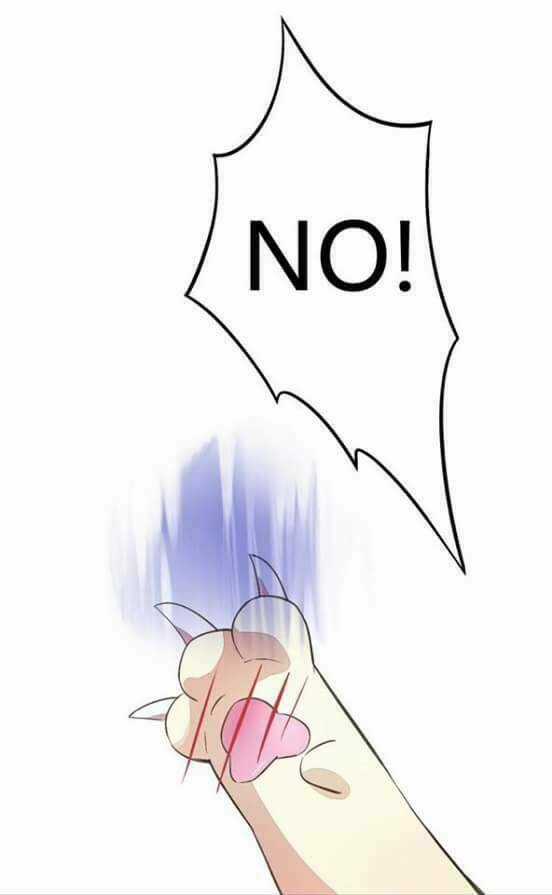 Dưới Móng Vuốt Mèo - Chapter 5 - Trang 33