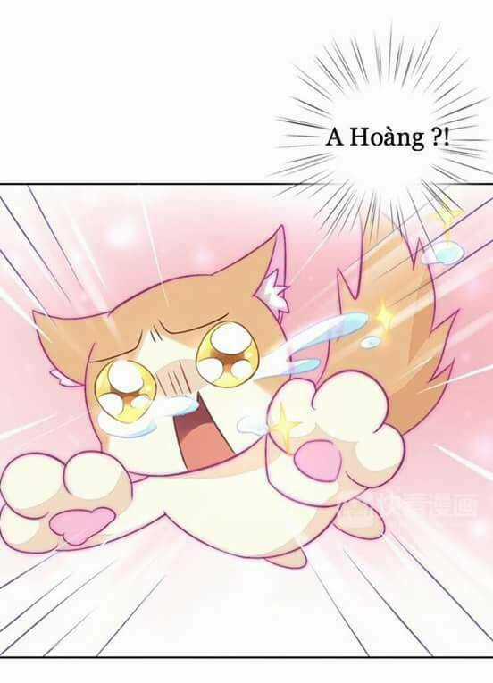 Dưới Móng Vuốt Mèo - Chapter 5 - Trang 36