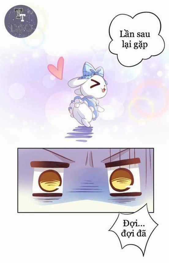 Dưới Móng Vuốt Mèo - Chapter 5 - Trang 48