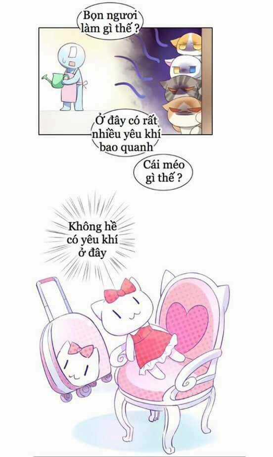 Dưới Móng Vuốt Mèo - Chapter 5 - Trang 8