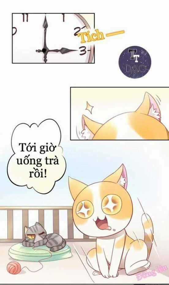 Dưới Móng Vuốt Mèo - Chapter 6 - Trang 2