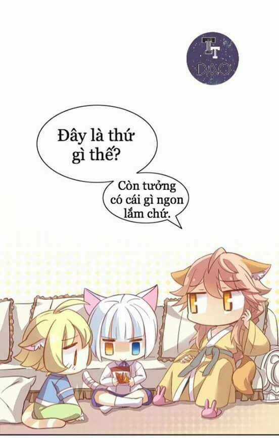 Dưới Móng Vuốt Mèo - Chapter 6 - Trang 11
