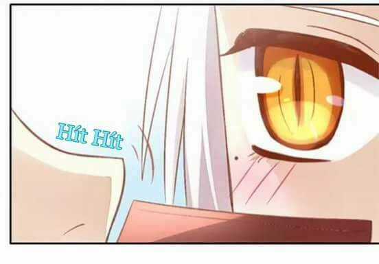 Dưới Móng Vuốt Mèo - Chapter 6 - Trang 13