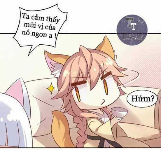 Dưới Móng Vuốt Mèo - Chapter 6 - Trang 16