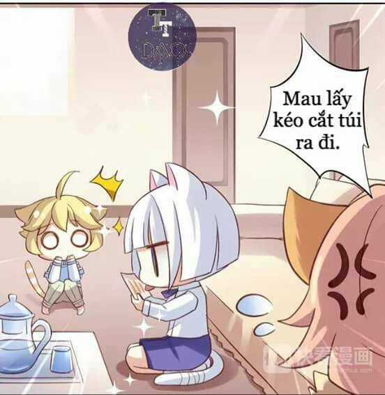 Dưới Móng Vuốt Mèo - Chapter 6 - Trang 17