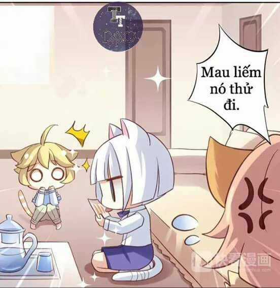 Dưới Móng Vuốt Mèo - Chapter 6 - Trang 18