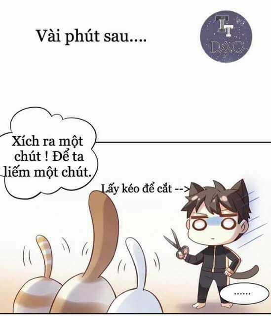Dưới Móng Vuốt Mèo - Chapter 6 - Trang 19