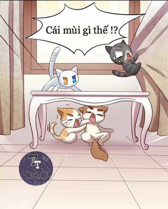 Dưới Móng Vuốt Mèo - Chapter 6 - Trang 21