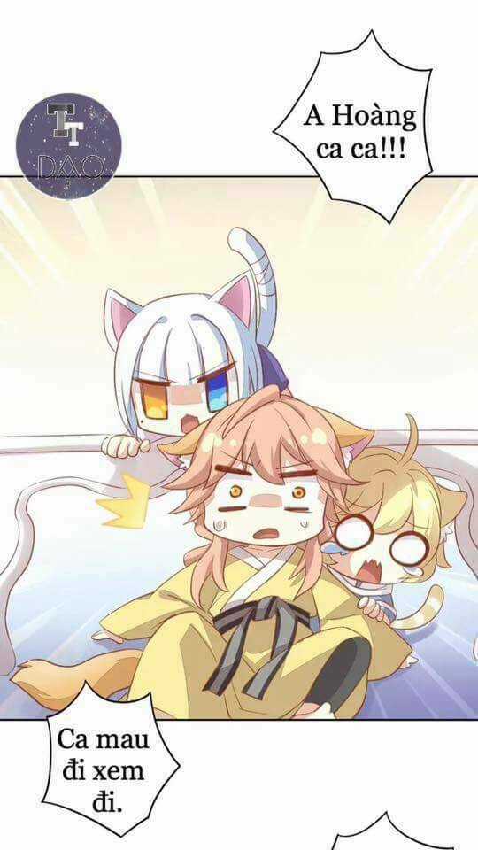 Dưới Móng Vuốt Mèo - Chapter 6 - Trang 23