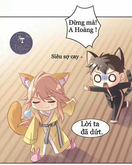 Dưới Móng Vuốt Mèo - Chapter 6 - Trang 29