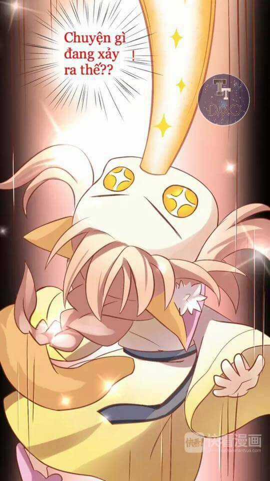 Dưới Móng Vuốt Mèo - Chapter 6 - Trang 34