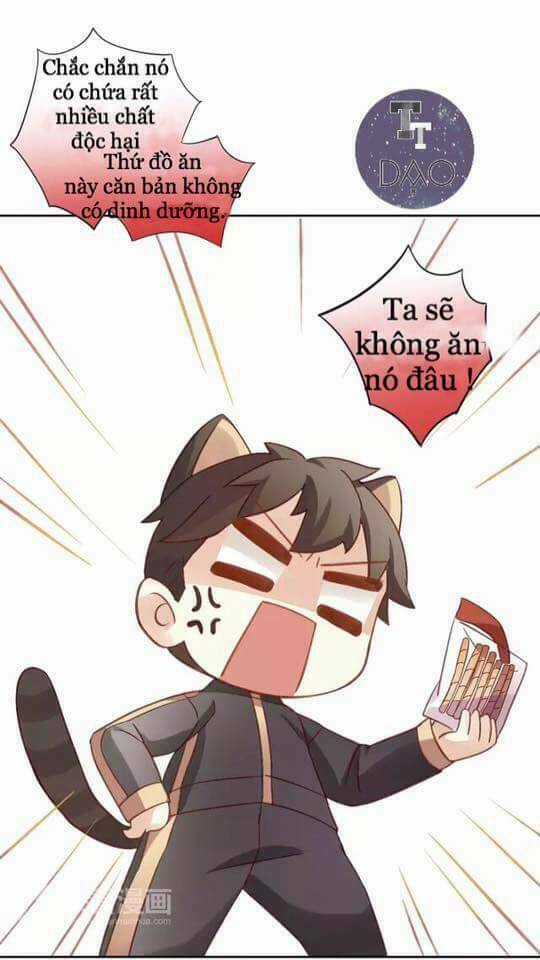 Dưới Móng Vuốt Mèo - Chapter 6 - Trang 45