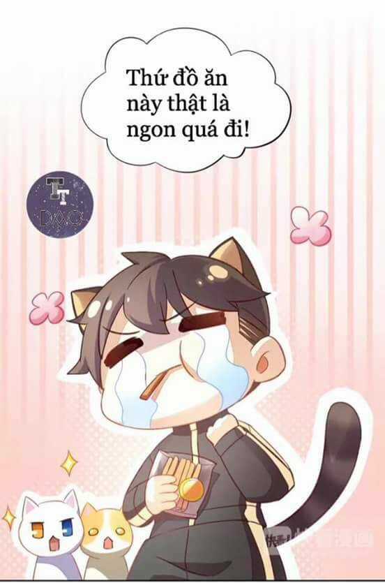 Dưới Móng Vuốt Mèo - Chapter 6 - Trang 47