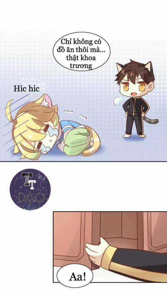 Dưới Móng Vuốt Mèo - Chapter 6 - Trang 6