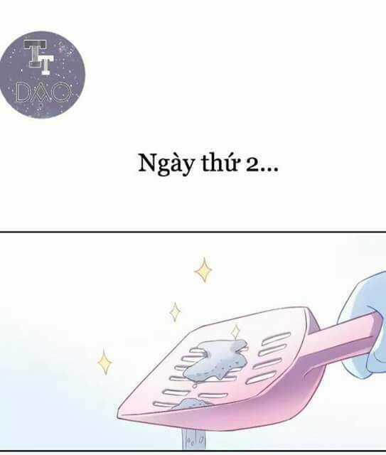 Dưới Móng Vuốt Mèo - Chapter 6 - Trang 52