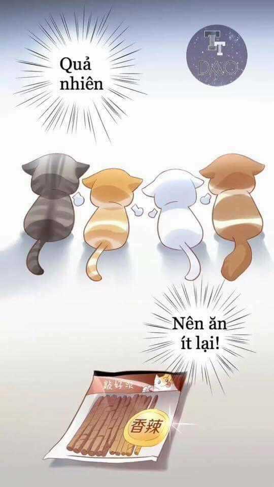 Dưới Móng Vuốt Mèo - Chapter 6 - Trang 55