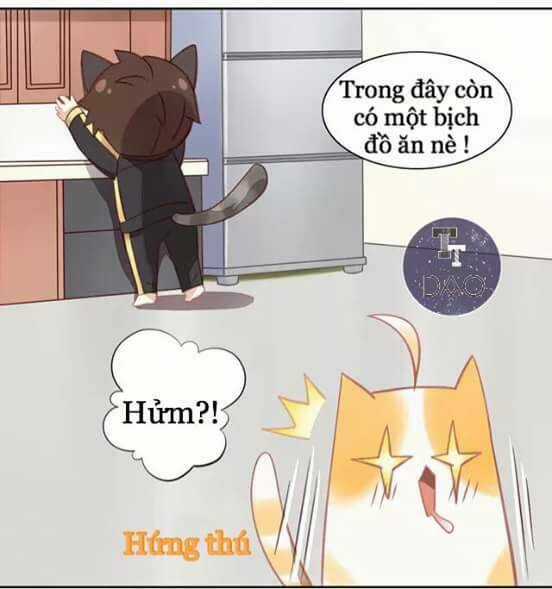 Dưới Móng Vuốt Mèo - Chapter 6 - Trang 7