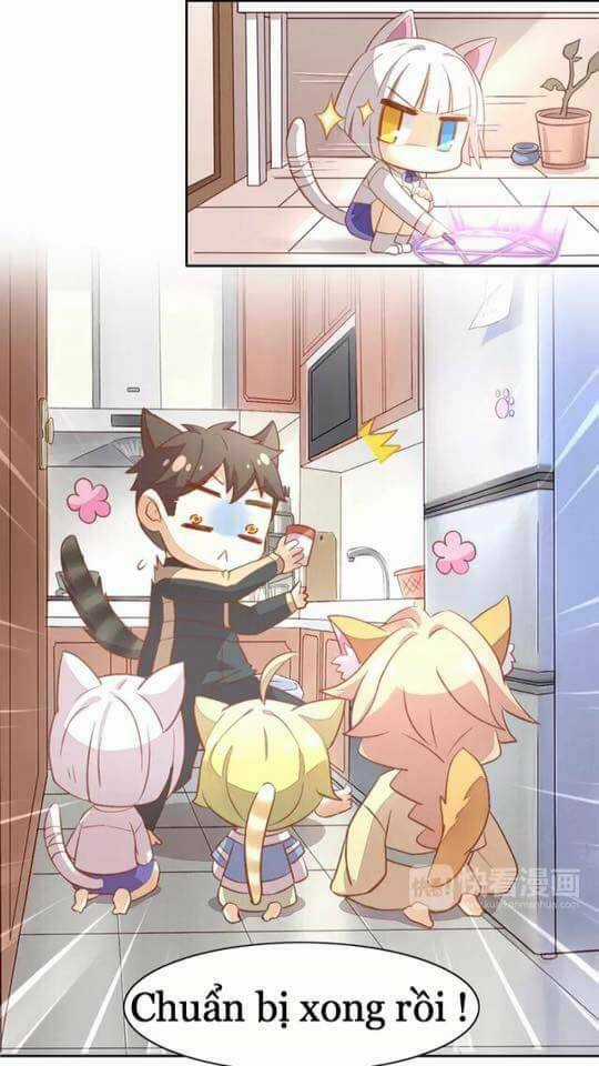 Dưới Móng Vuốt Mèo - Chapter 6 - Trang 9