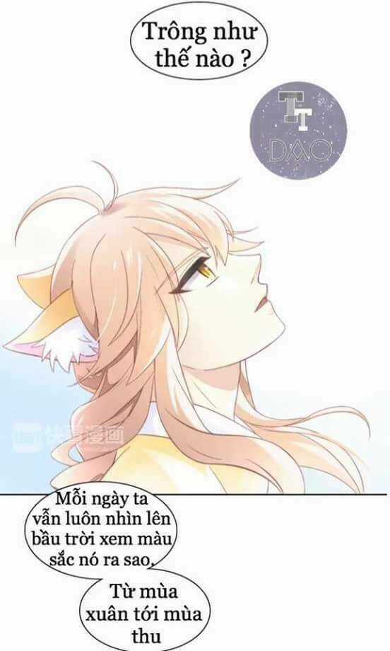 Dưới Móng Vuốt Mèo - Chapter 7 - Trang 16