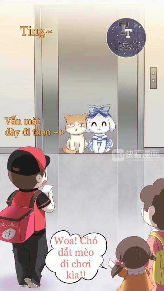 Dưới Móng Vuốt Mèo - Chapter 7 - Trang 25