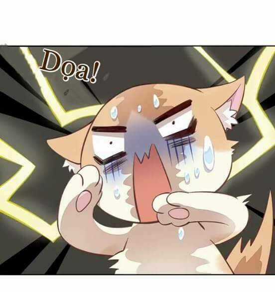 Dưới Móng Vuốt Mèo - Chapter 7 - Trang 26