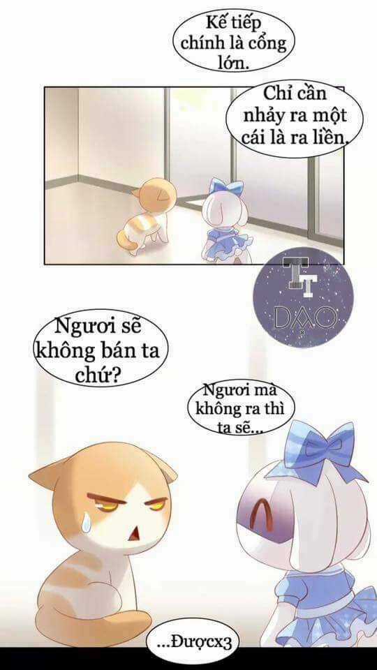Dưới Móng Vuốt Mèo - Chapter 7 - Trang 30