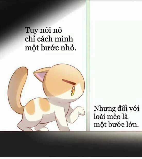 Dưới Móng Vuốt Mèo - Chapter 7 - Trang 31