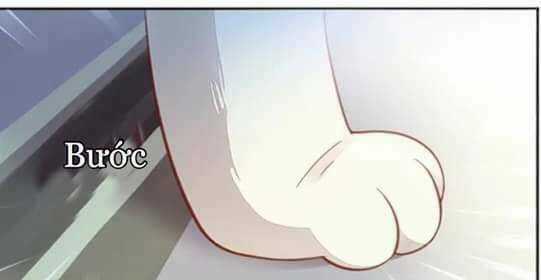 Dưới Móng Vuốt Mèo - Chapter 7 - Trang 32
