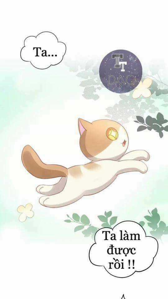Dưới Móng Vuốt Mèo - Chapter 7 - Trang 33