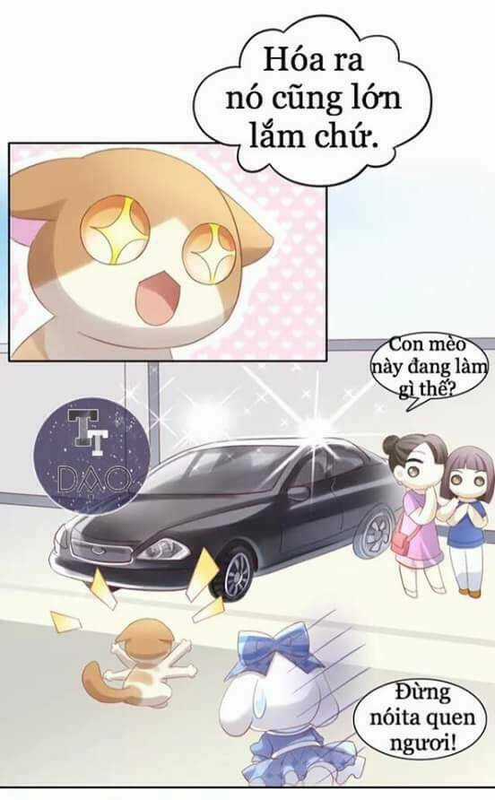 Dưới Móng Vuốt Mèo - Chapter 7 - Trang 37