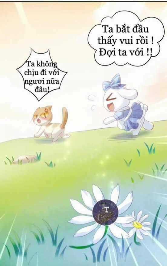 Dưới Móng Vuốt Mèo - Chapter 7 - Trang 50