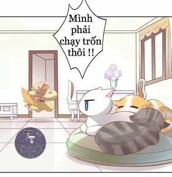 Dưới Móng Vuốt Mèo - Chapter 7 - Trang 6