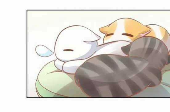 Dưới Móng Vuốt Mèo - Chapter 7 - Trang 7