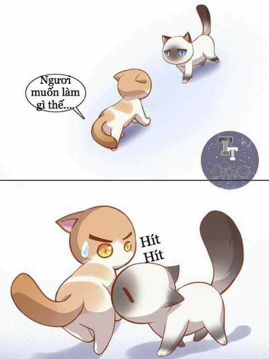 Dưới Móng Vuốt Mèo - Chapter 8 - Trang 13