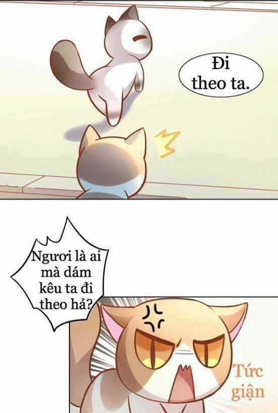 Dưới Móng Vuốt Mèo - Chapter 8 - Trang 14