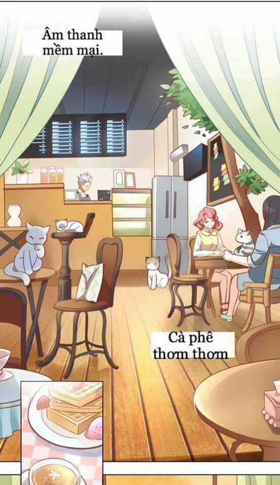 Dưới Móng Vuốt Mèo - Chapter 8 - Trang 21
