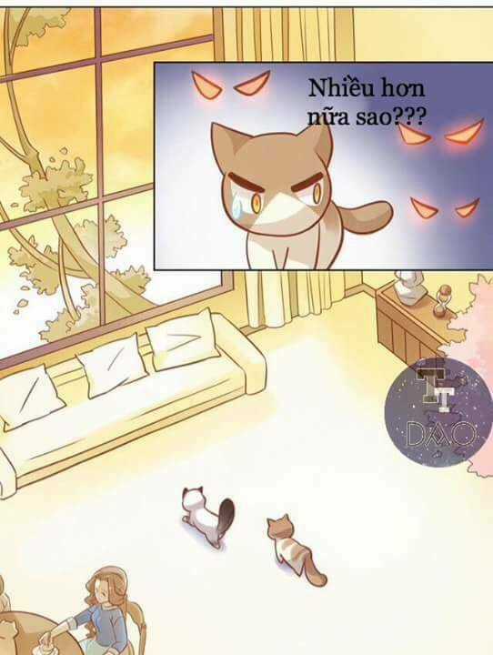 Dưới Móng Vuốt Mèo - Chapter 8 - Trang 23