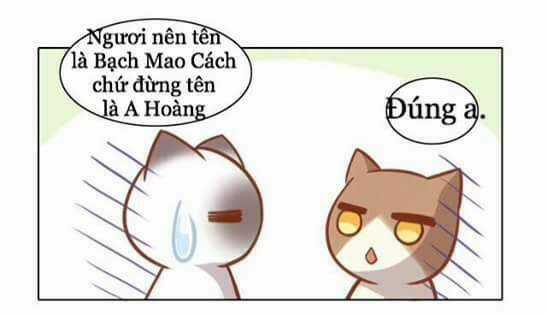 Dưới Móng Vuốt Mèo - Chapter 8 - Trang 25