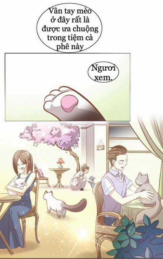 Dưới Móng Vuốt Mèo - Chapter 8 - Trang 29