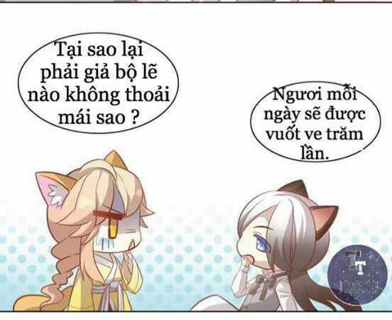 Dưới Móng Vuốt Mèo - Chapter 8 - Trang 35