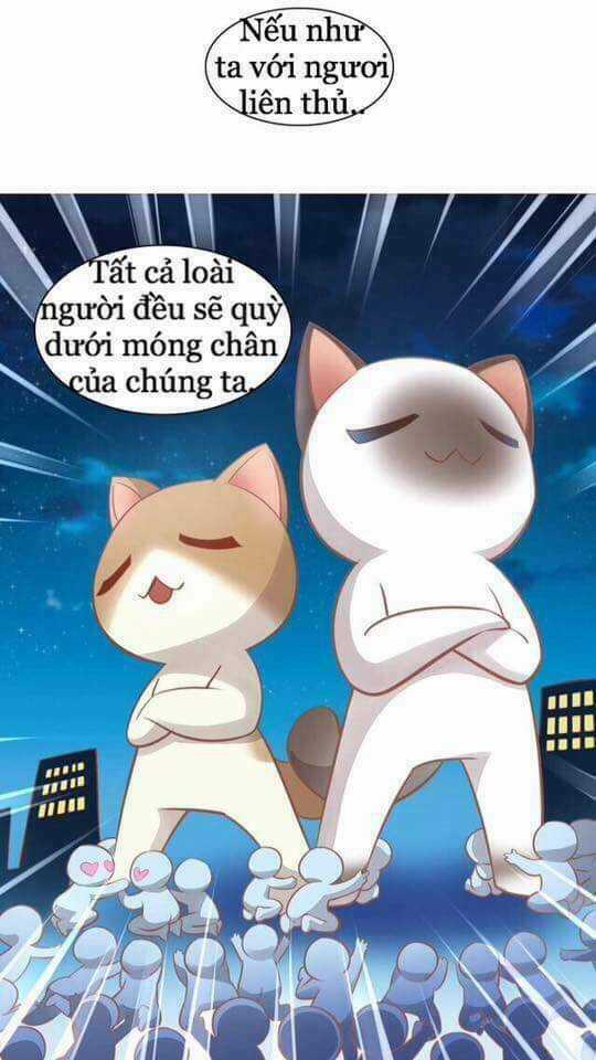 Dưới Móng Vuốt Mèo - Chapter 8 - Trang 37