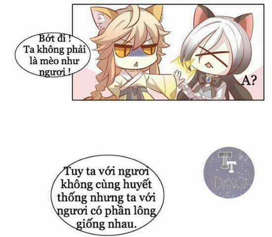 Dưới Móng Vuốt Mèo - Chapter 8 - Trang 38