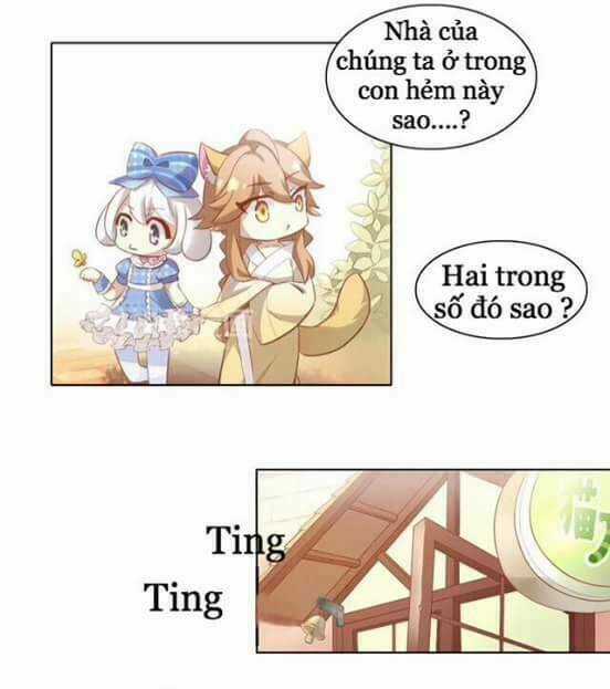 Dưới Móng Vuốt Mèo - Chapter 8 - Trang 5