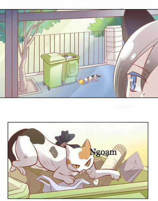 Dưới Móng Vuốt Mèo - Chapter 8 - Trang 41