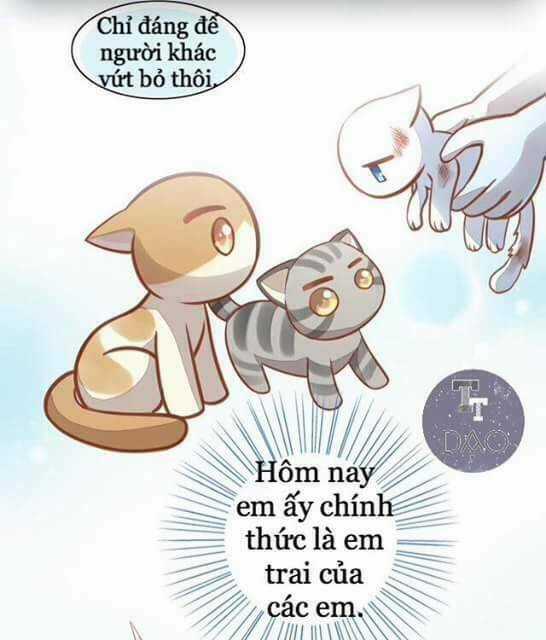 Dưới Móng Vuốt Mèo - Chapter 8 - Trang 43